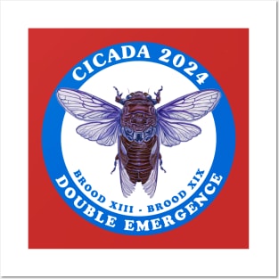 Cicada 2024 - double emergence brood xiii Posters and Art